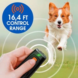 Ultrasonic dog trainer